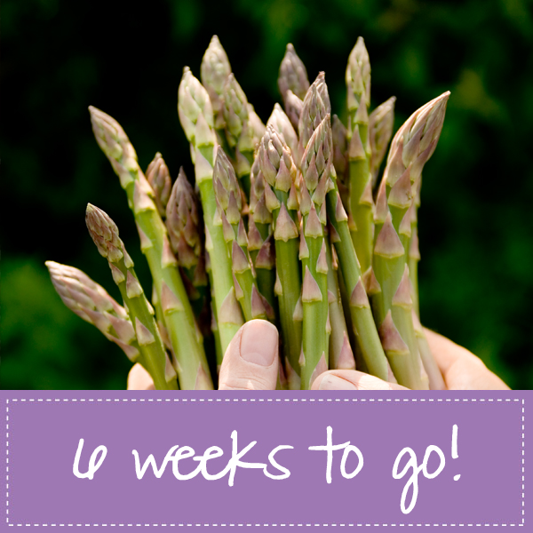 countdown image